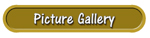 Click Here For The Picture Galleries Of My Work